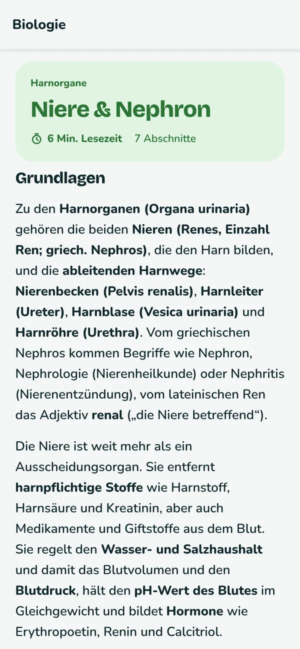 Lernstoff-Seite in Synapso zum Thema Niere und Nephron mit Abschnitten und hervorgehobenen Fachbegriffen.